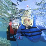 Snorkeling nella Grande Barriera Corallina, tra stelle marine e coralli