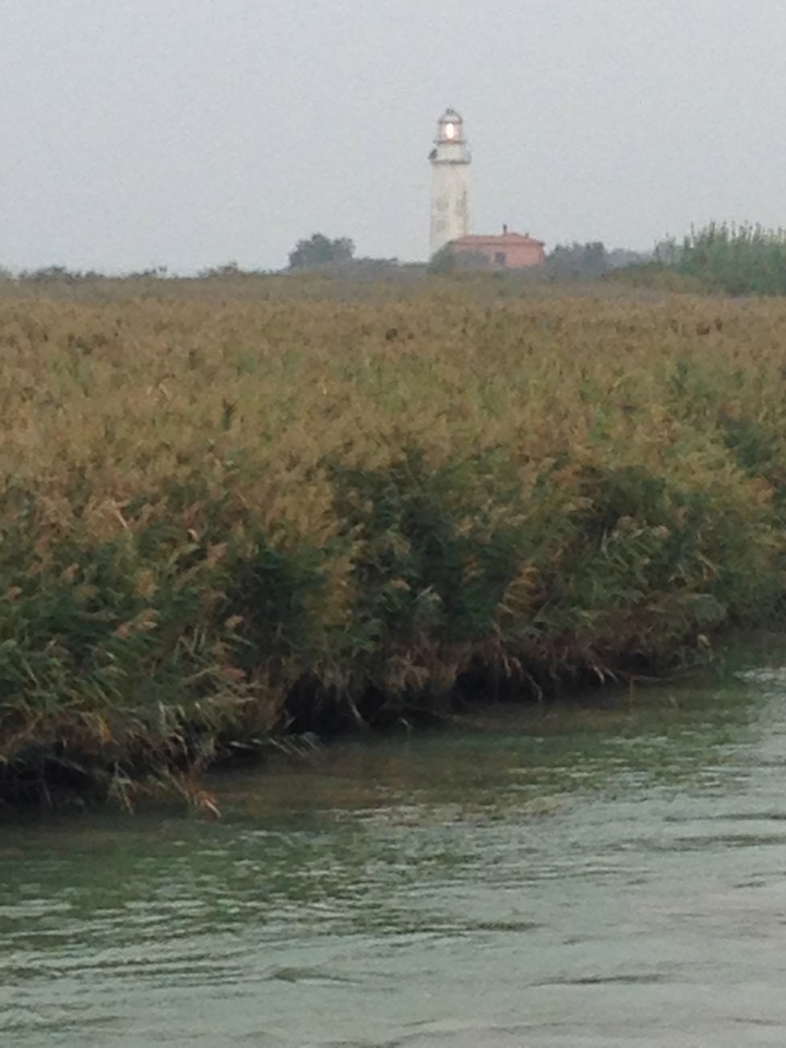 In lontananza si nota il Faro di Goro