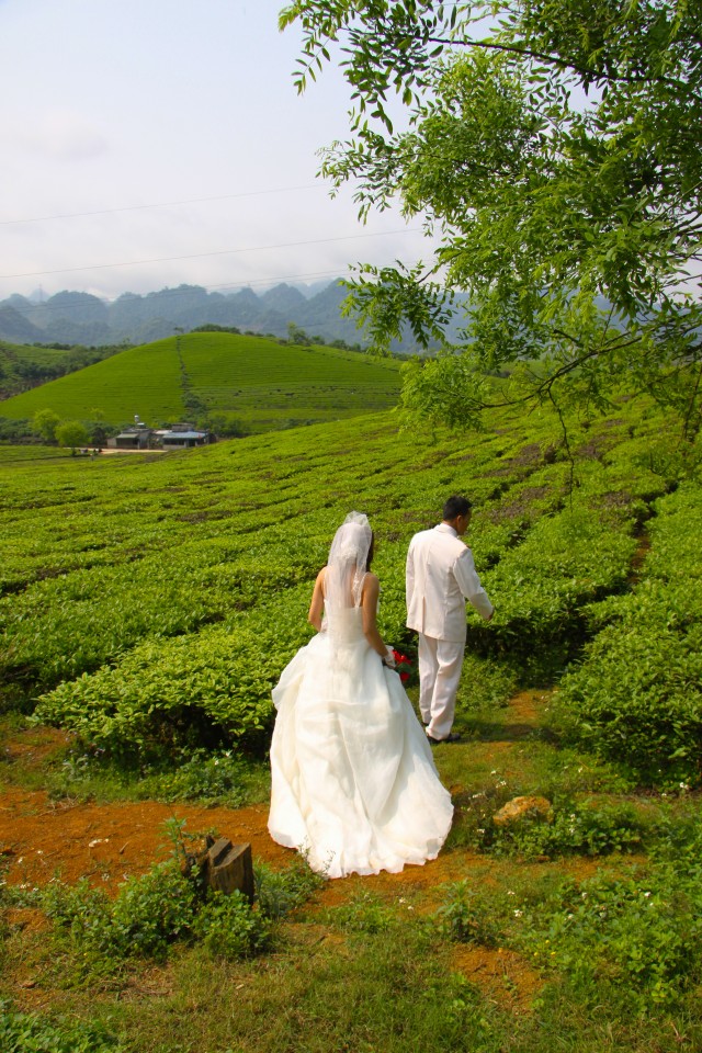 Servizio fotografico matrimoniale tra le vigne