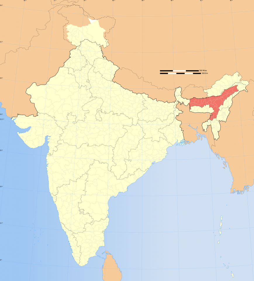 L'orecchia dell'India, dove si trova l'Assam