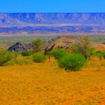 La giraffa nello spoglio suggestivo paesaggio