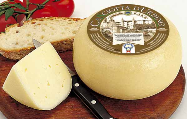 Casciotta d'Urbino, un formaggio che Michelangelo si faceva spedire mentre dipingeva la Cappella Sistina