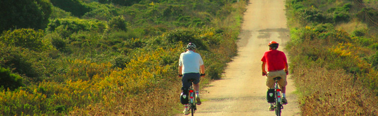 In Bici nella Campagna