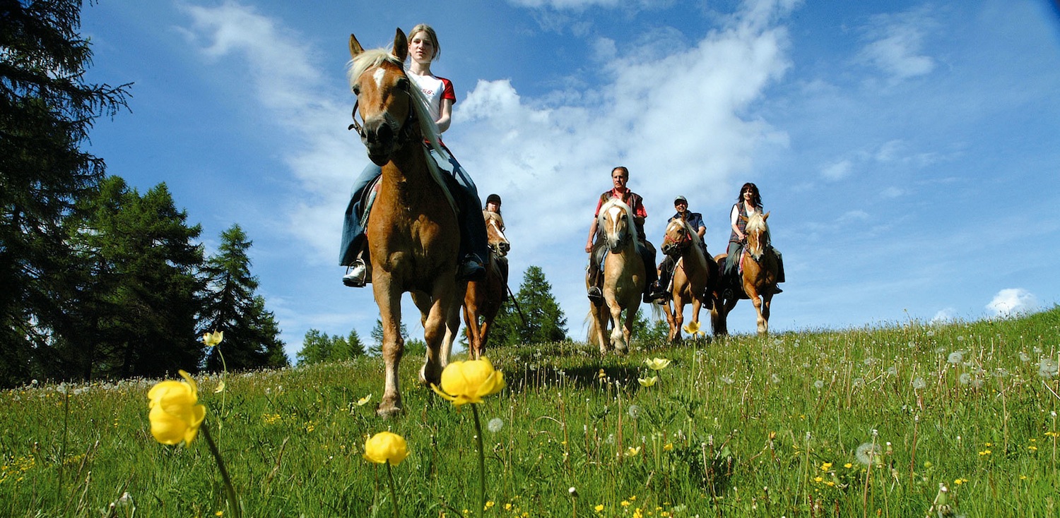 Lunghe passeggiate a cavallo