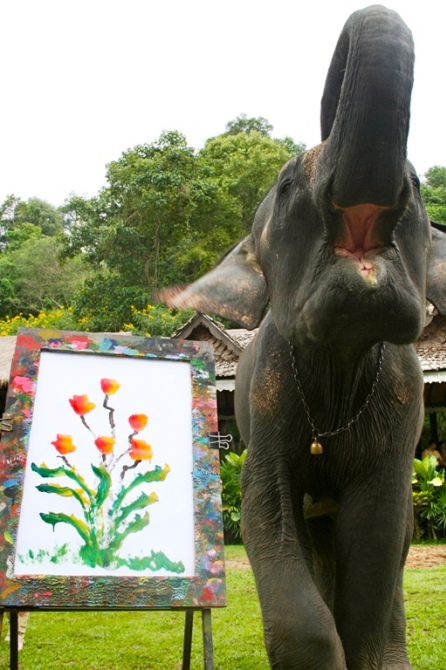 Thailandia, un elefante pittore nella scuola di Chang May