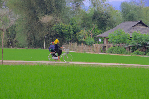 Vietnam, a Mai Chau tra le risaie in bici