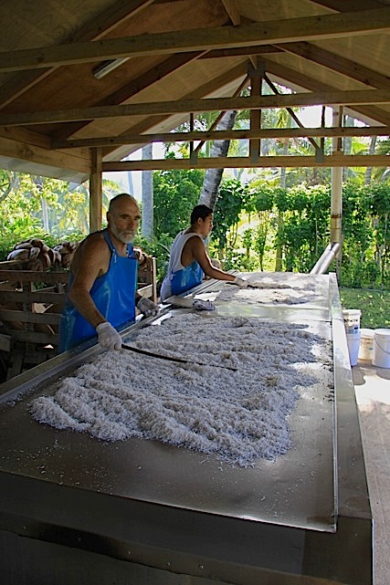 Nell'azienda Rito durante la lavorazione del cocco per farne delle creme