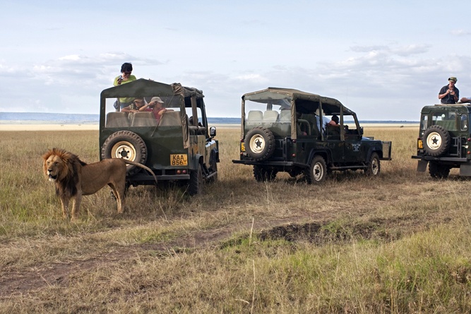 Safari in Sudafrica