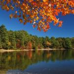 Myles Standish State Forest