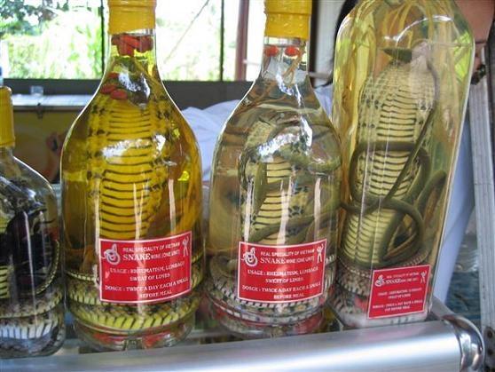 Vino di serpente, tipico in Vietnam