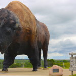 Il bisonte più grande del mondo.