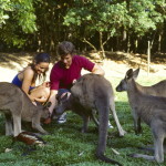 Allo zoo di Cairns