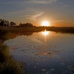 Elva River Estonia