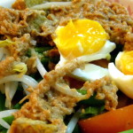 Il Gado Gado dell'Indonesia