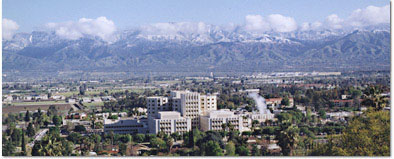 Loma Linda in California