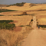 Una parte del Cammino di Santiago