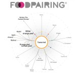 Il diagramma food pairing per il dolce di nozze