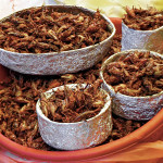 Le Chapulines messicane (cavallette fritte)