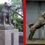 La statua del famoso cane Hachikō