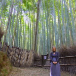 Nella foresta di bambù di Arashiyama