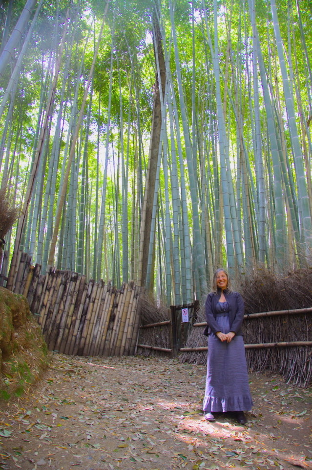 Nella foresta di bambù di Arashiyama