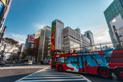 Ginza Sukiyabashi Crossing