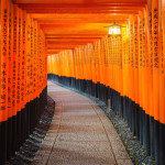 Torii gates in Fushimi Inari (Kyoto)