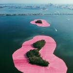 Alcune isole impacchettate al largo della Florida, come ninfee in mezzo all'acqua