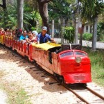 ll trenino del Parque Zoológico Nacional