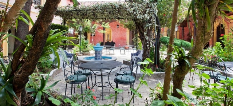 Giardino dell'Hotel Sombra de l'Agua