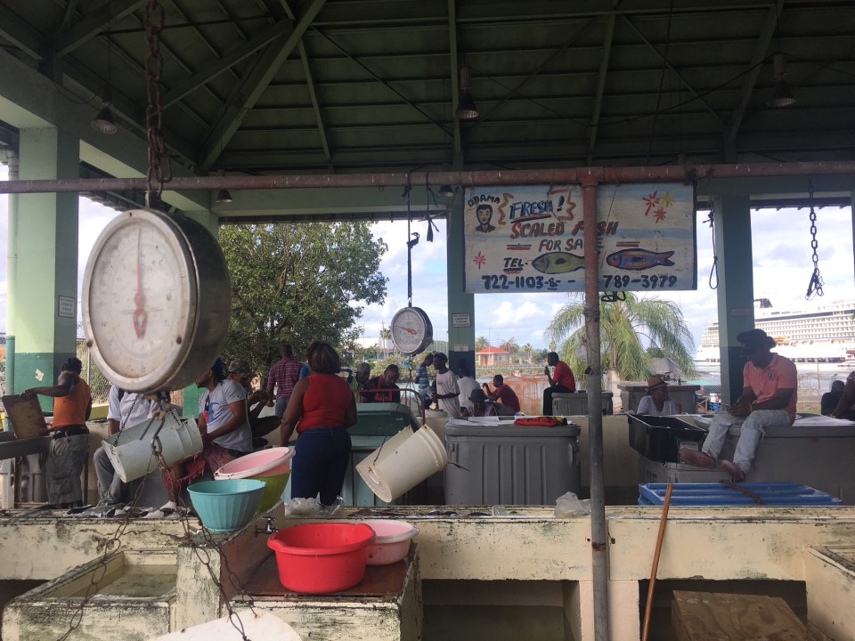 Il mercato pubblico del pesce a St Johns