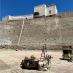 Gironzolando per il centro Unesco di Bukhara