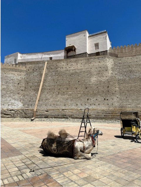 Gironzolando per il centro Unesco di Bukhara