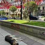 Tbilisi nel giorno dell'Indipendenza