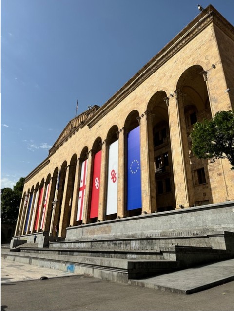 Tbilisi nel giorno dell'Indipendenza